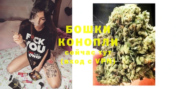 стаф Гусиноозёрск