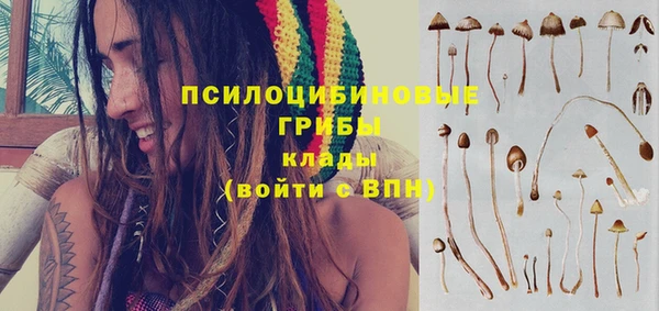 MDMA Гусев