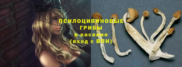 шишки Горняк