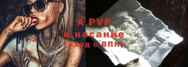 стаф Гусиноозёрск